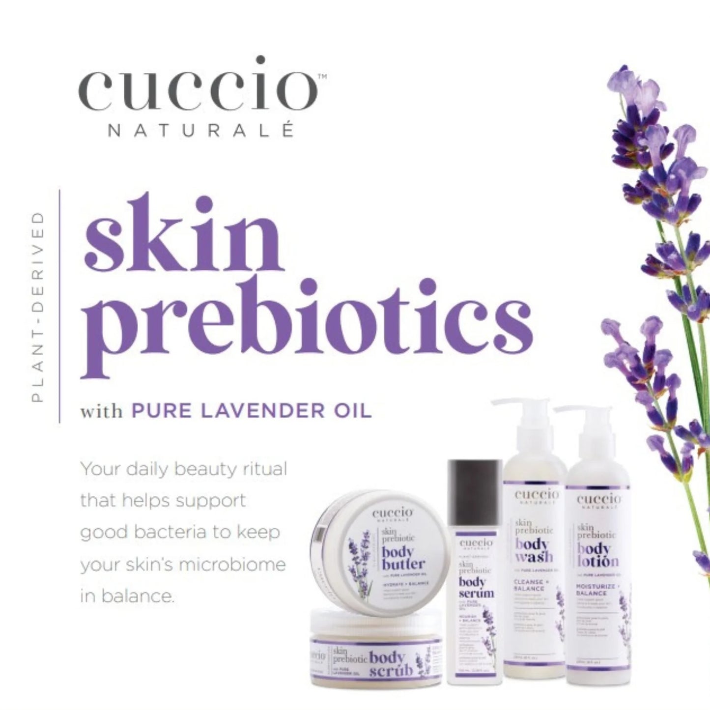 Lozione per il corpo 237ml Lavender Prebiotic